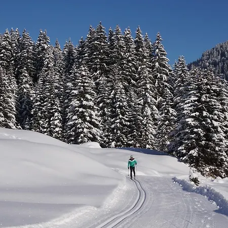 Appartement Haus Arnold Schranz Sankt Anton am Arlberg